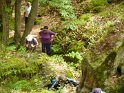 2014-06-05 15-35-16 Foret de Fontainebleau FGn